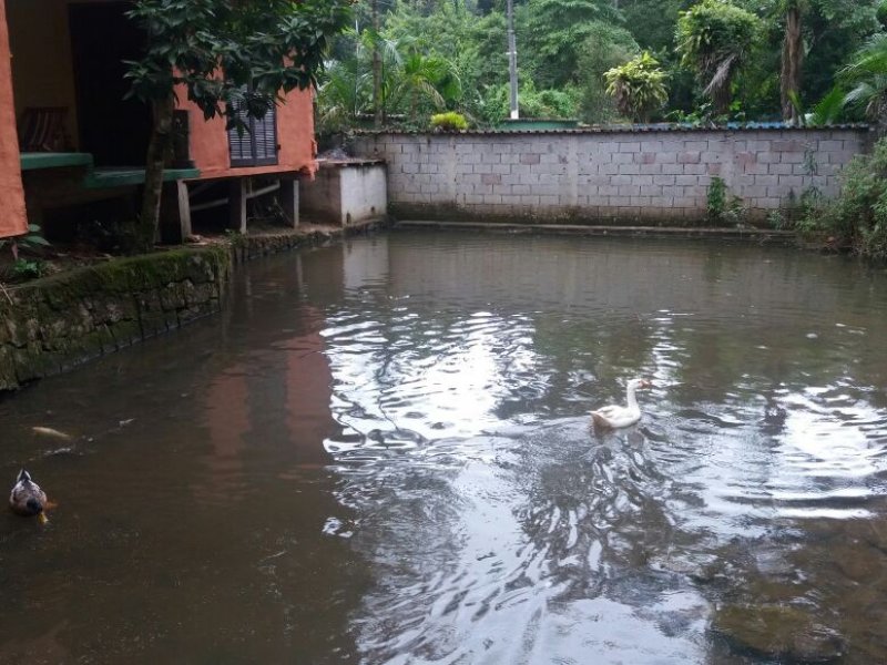 imóvel com 1000m² - Cidade Jardim - Caraguatatuba