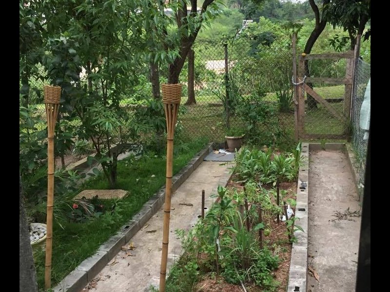 Sobrado à venda Conjunto Metalúrgicos com 92500m² e 2 quartos por R$ 450.000 - 358378308-area-externa-fundos-da-casa.jpg