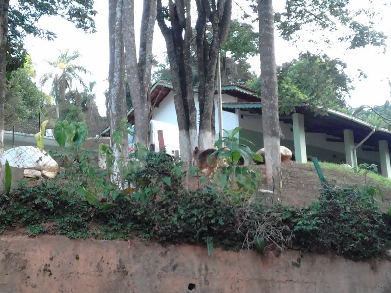 Chacara à venda Jd Paraiso com 3100m² e 3 quartos por R$ 425.000 - 971880435-20170418-165100.jpg