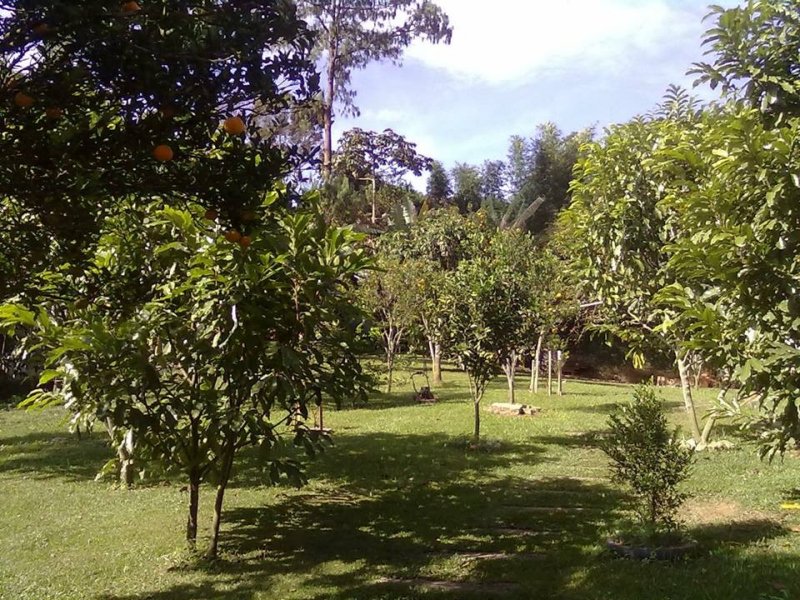 imóvel com 1200m² - Palmeiras  - Suzano