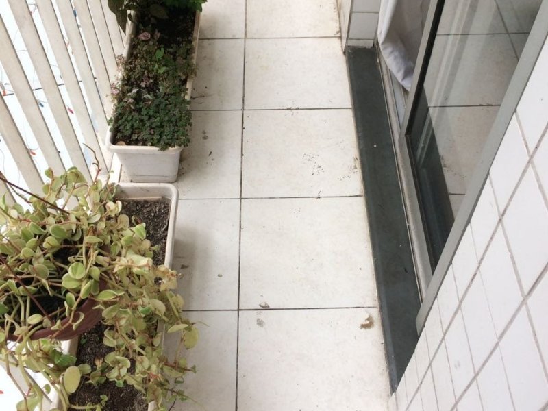 imóvel com 61m² - Parque Bristol - São Paulo