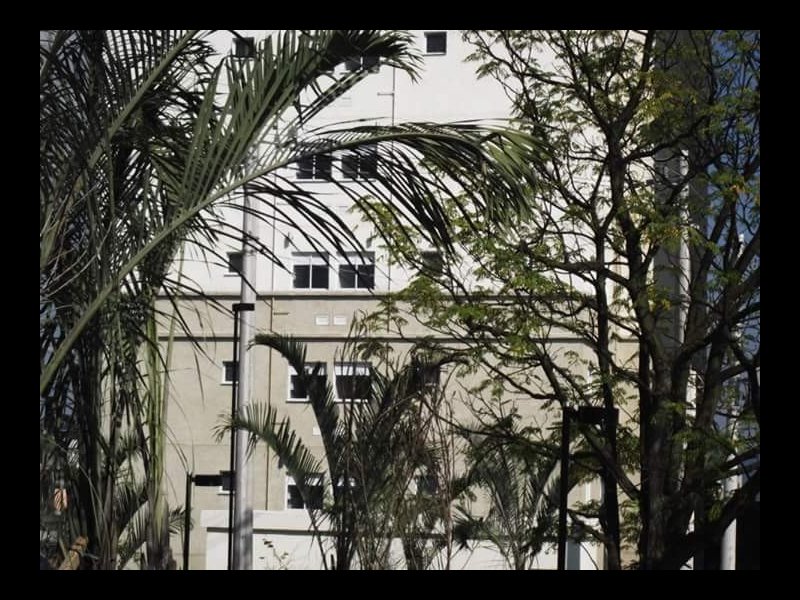 Apartamento à venda Jardim Castelo com 48m² e 2 quartos por R$ 220.000 - 841482828-fb-img-1526583560499.jpg