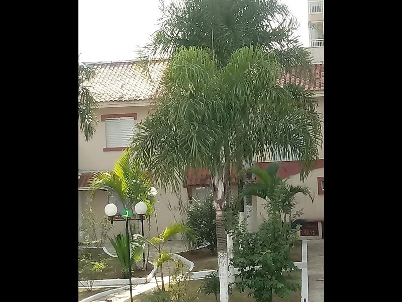 imóvel com 65m² - Jardim Guairaca - São Paulo