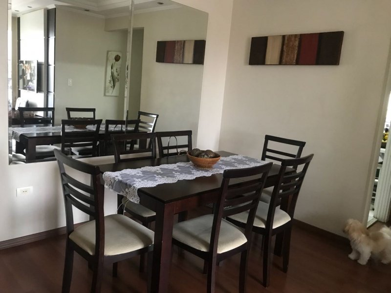 imóvel com 60m² - Vila Mafra - São Paulo