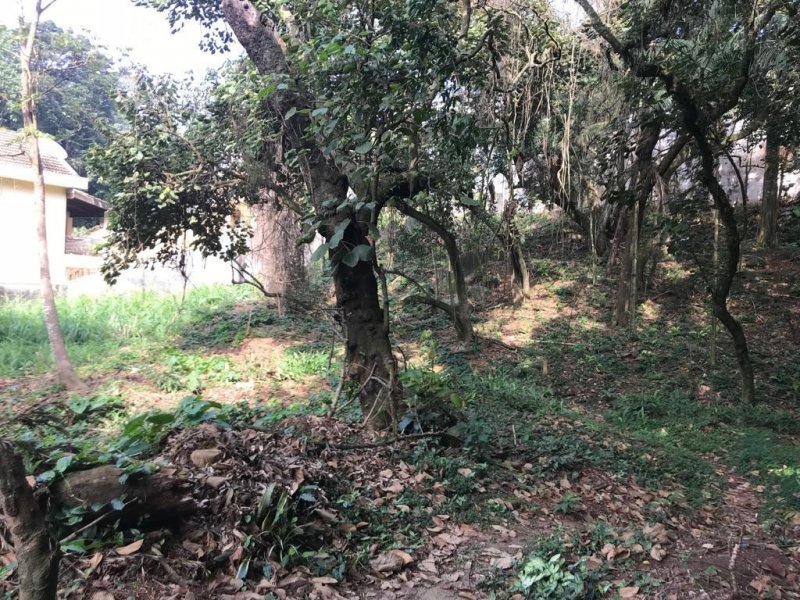 imóvel com 500m² - Horto Florestal - São Paulo