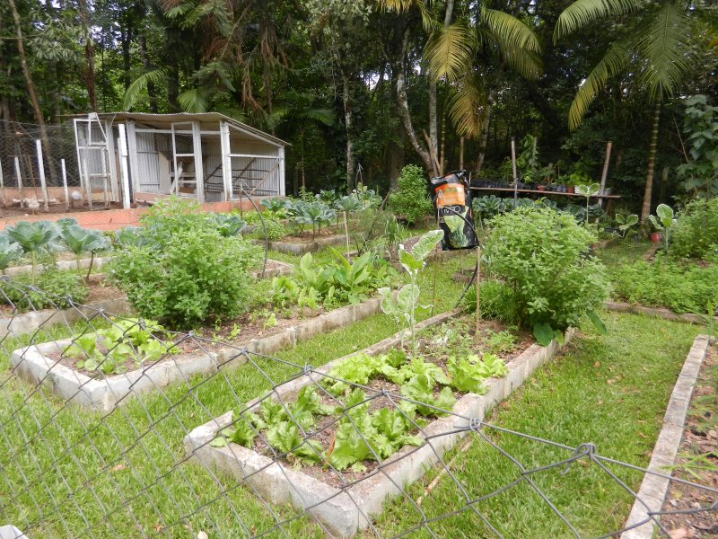 Casa à venda Paisagem Renoir com 603m² e 4 quartos por R$ 1.850.000 - 1618806778-horta2.JPG