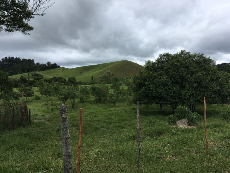 Terreno à venda Bairro da Cachoeira com 9865m² e 0 quartos por R$ 250.000 - 774384126-08a110e2-c5e1-4869-97c2-b3c14752ef12.jpg