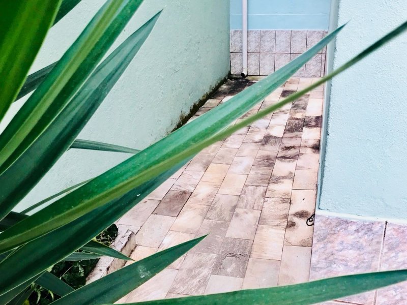 imóvel com 229m² - Jardim América - Belo Horizonte