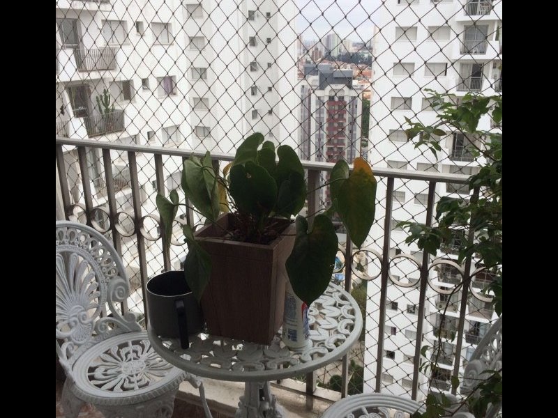 imóvel com 77m² - Santana - São Paulo
