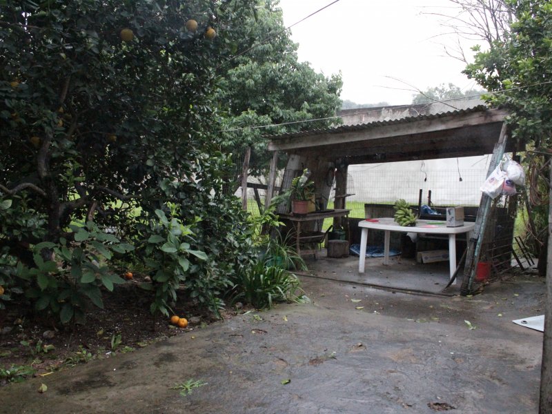 Chacara à venda Restinga com 1640m² e 2 quartos por R$ 420.000 - 1236073139-img-7900.JPG