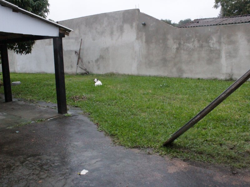 Chacara à venda Restinga com 1640m² e 2 quartos por R$ 420.000 - 1628659380-img-7902.JPG