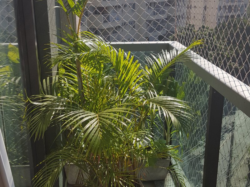 Cobertura à venda Pechincha com 171m² e 4 quartos por R$ 900.000 - 271027147-20180621-103744.jpg