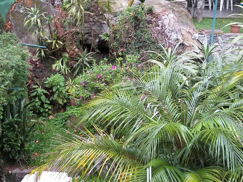 imóvel com 83m² - Retiro - Petrópolis
