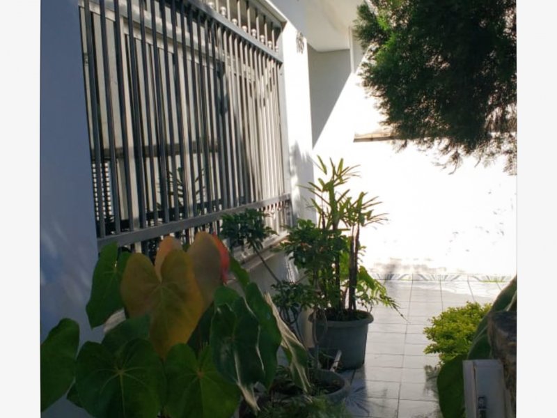 imóvel com 284m² - Vila Moinho Velho - São Paulo