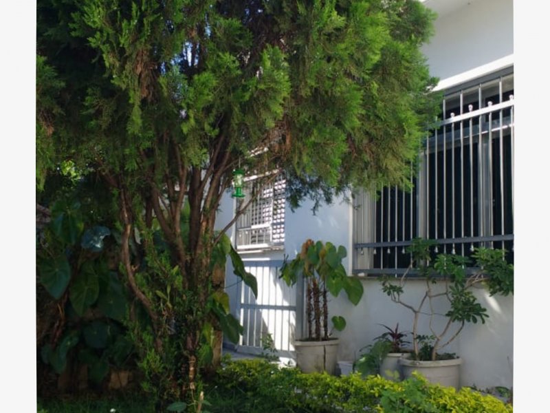 imóvel com 284m² - Vila Moinho Velho - São Paulo