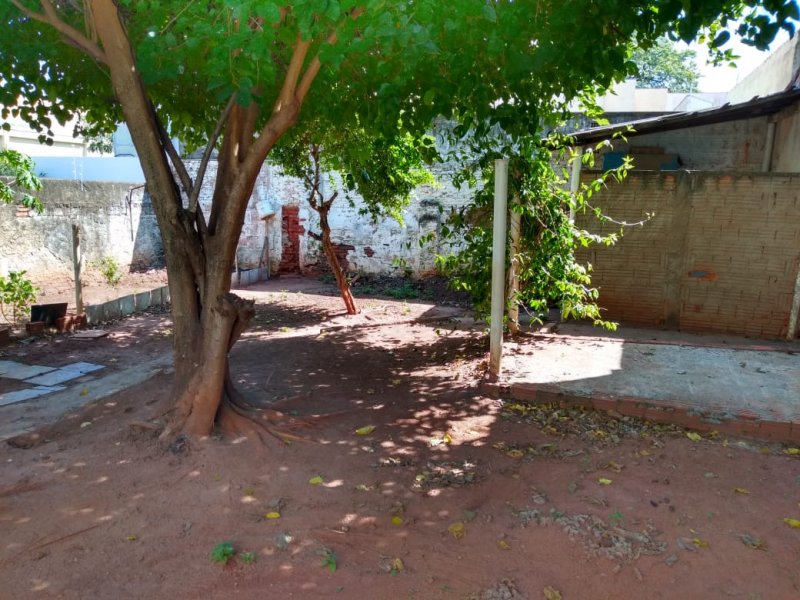 imóvel com 484m² - Vila Santa Cruz - São José do Rio Preto
