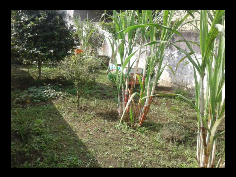 Casa à venda Jardim Pedreira com 495m² e 3 quartos por R$ 790.000 - 1499655881-screenshot-2018-07-11-casa-151-m2-na-jardim-sabara-em-sao-paulo-por-r-820-000-viva-real5.png