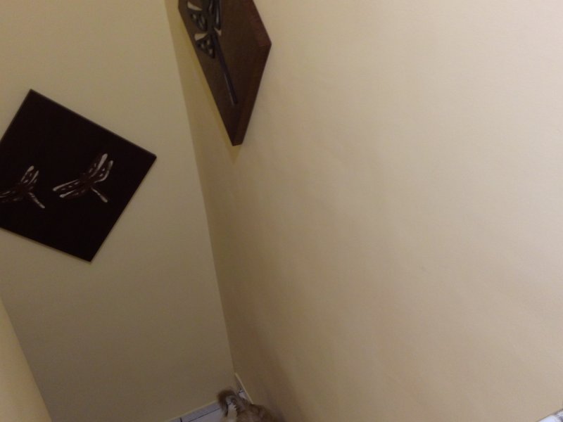Casa de condomínio à venda Vila Carbone com 90m² e 3 quartos por R$ 450.000 - 1076227065-20180710-140958.jpg
