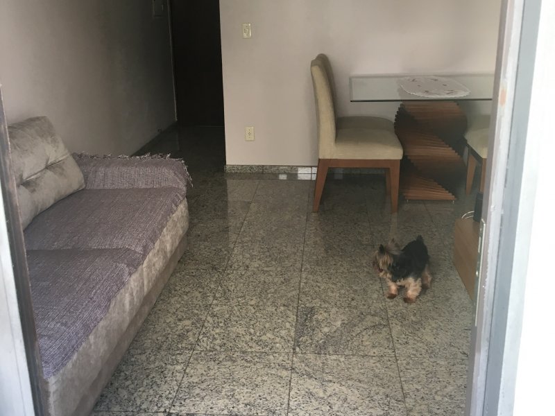 Apartamento à venda Vila Palmeiras com 54m² e 2 quartos por R$ 330.000 - 554308288-img-5257.jpg