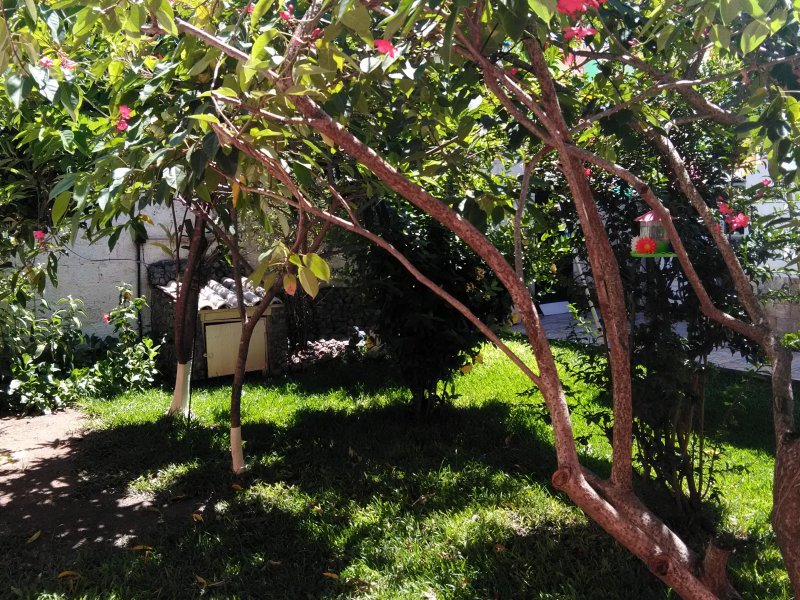 imóvel com 392m² - Centro - Maricá