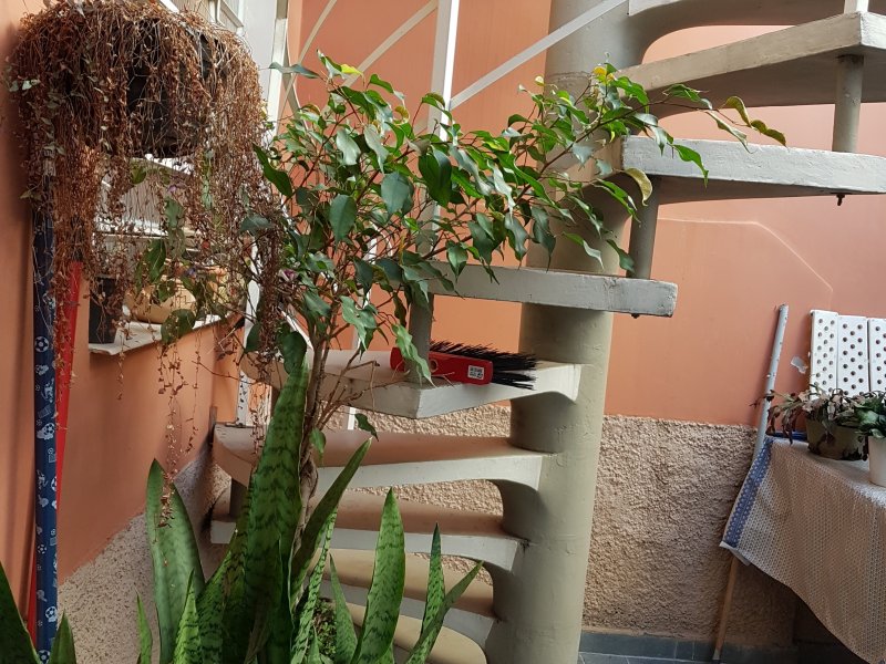 Casa à venda Vila Nova Mazzei com 194m² e 3 quartos por R$ 580.000 - 1411596850-20180715-095511.jpg