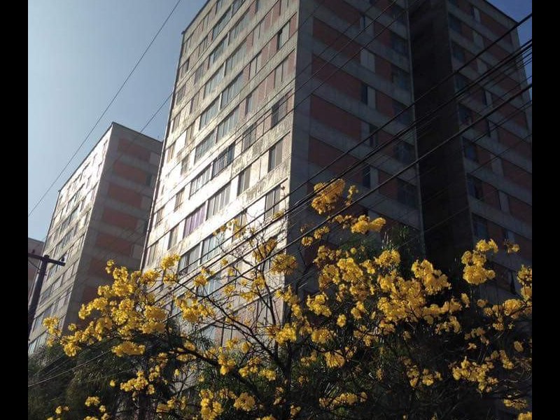 imóvel com 77m² - Jardim Piracuama - São Paulo