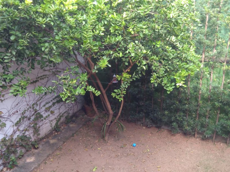 Casa à venda São Rafael com 360m² e 4 quartos por R$ 990.000 - 1265476026-img-20180515-091540.jpg