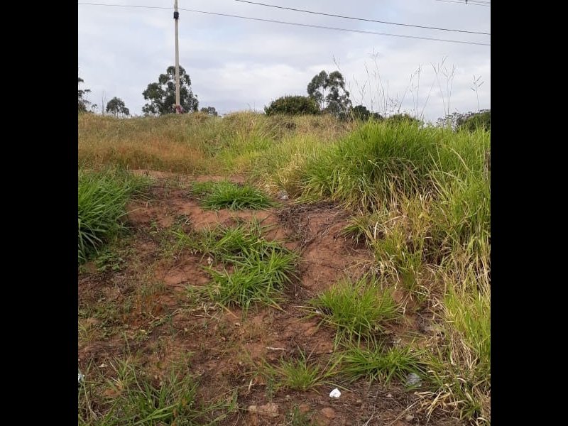Terreno à venda Jd. Novo Prudentino com 203m² e  quartos por R$ 75.000 - 1657641821-whatsapp-image-2018-08-01-at-14.jpeg