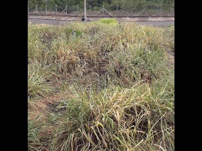 Terreno à venda Jd. Novo Prudentino com 203m² e  quartos por R$ 75.000 - 572245755-whatsapp-image-2018-08-01-at-14.jpeg