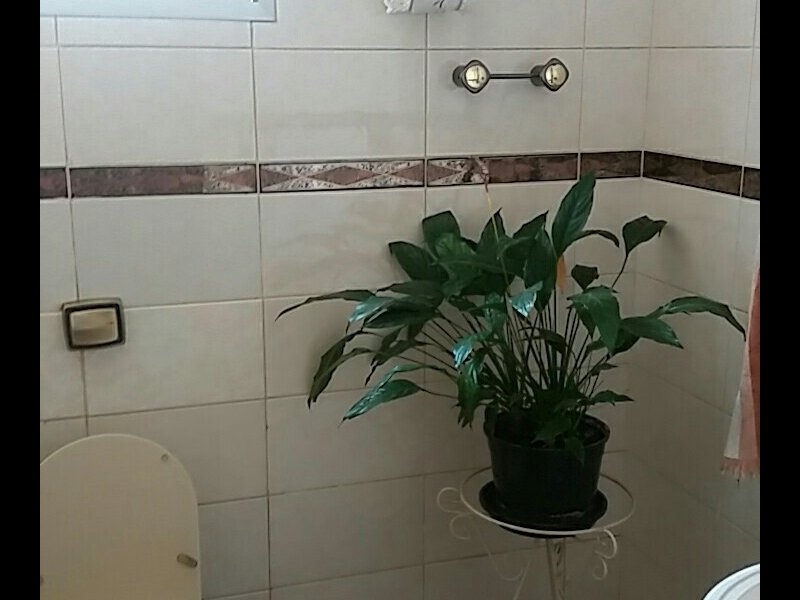 imóvel com 160m² - Lapa - São Paulo