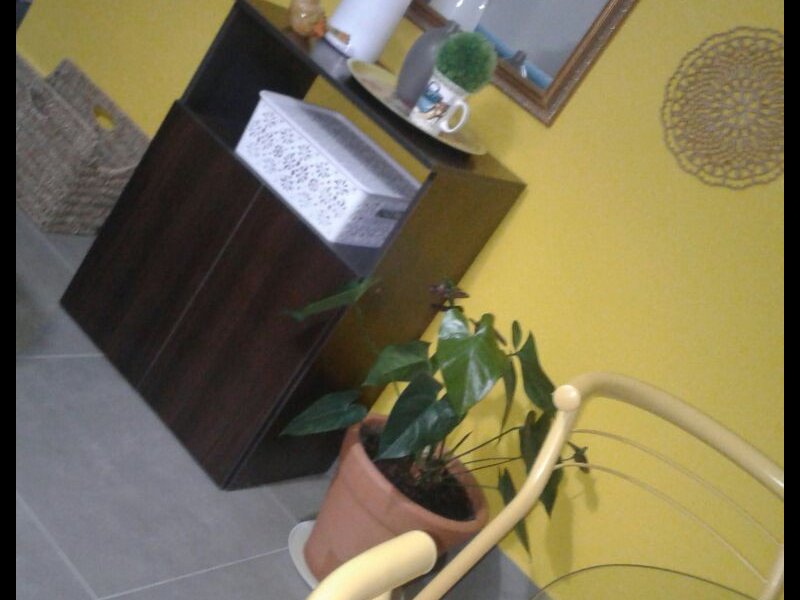 imóvel com 75m² - Centro - Serra Negra