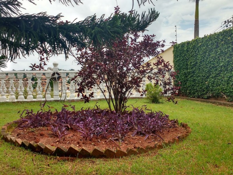 imóvel com 549m² - Sta Mônica - Belo Horizonte