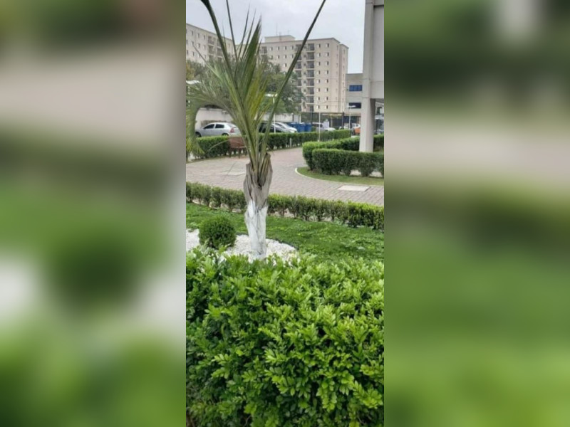 imóvel com 67m² - Vila Pirituba - São Paulo