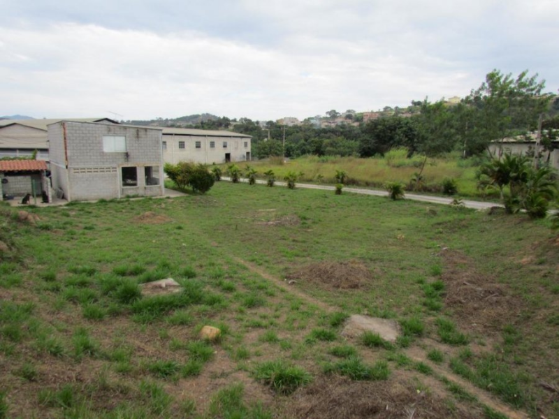 Casa à venda Santa Rosa com 7200m² e 4 quartos por R$ 2.750.000 - 88954306-sem-titulo.png