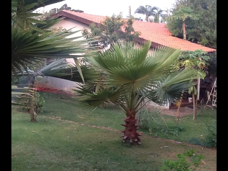 Chacara à venda Engenheiro Coelho com 7000m² e 7 quartos por R$ 1.200.000 - 195138441-image.jpeg