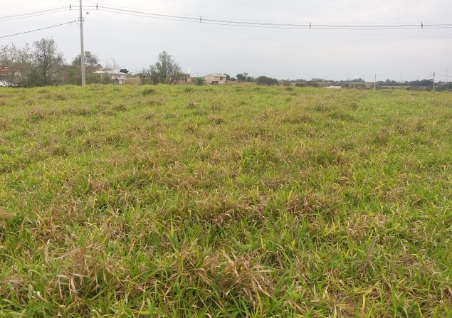 imóvel com 800m²