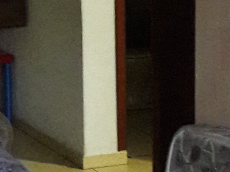 Apartamento à venda Vila Gustavo com 78m² e 2 quartos por R$ 380.000 - 92014359-20180711-173814.jpg