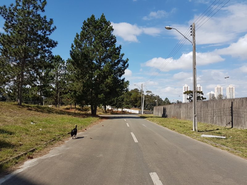 imóvel com 68m² - Cidade Industrial - Curitiba
