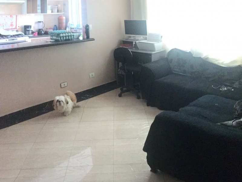 imóvel com 80m² - Vila Angelina - São Bernardo do Campo
