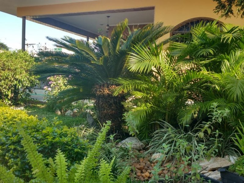 Casa à venda Parque Novo Mundo com 565m² e 6 quartos por R$ 2.000.000 - 1579856973-whatsapp-image-2018-09-10-at-10.jpeg