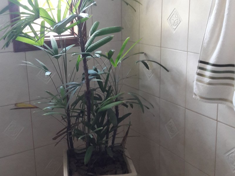 Casa de condomínio à venda Taquara com 250m² e 5 quartos por R$ 1.100.000 - 32705258-img-20180905-wa0125.jpeg