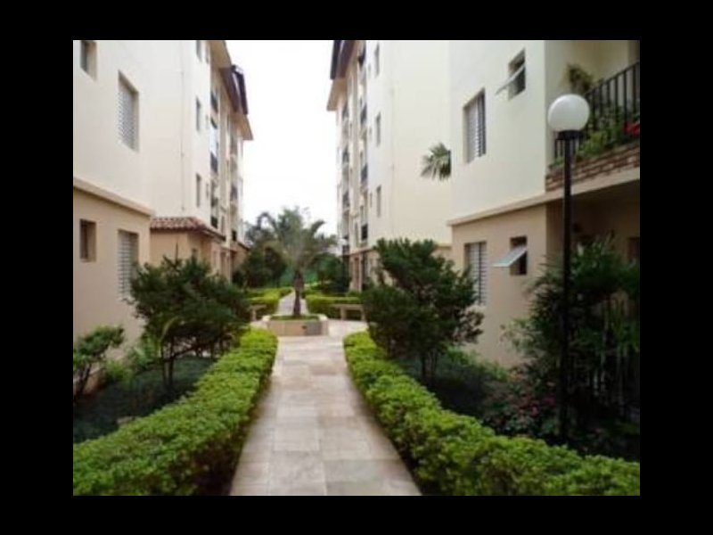imóvel com 50m² - Jardim das Palmas - São Paulo