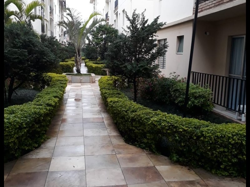 imóvel com 50m² - Jardim das Palmas - São Paulo