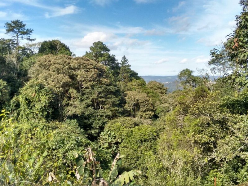 imóvel com 3000m² - Recreio Campestre - São Paulo
