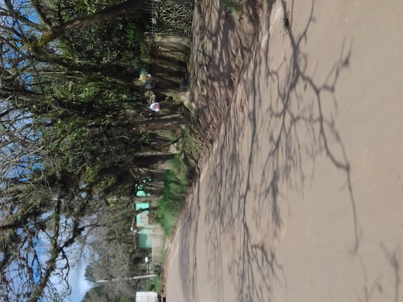 Terreno à venda Lomba do Pinheiro com 4931m² e  quartos por R$ 195.000 - 1483956095-img-20180915-wa0002.jpeg