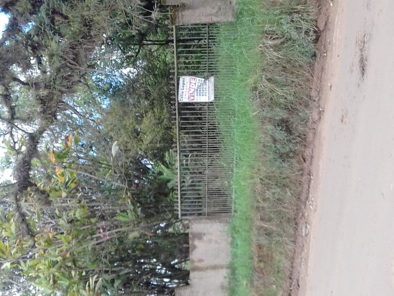 Terreno à venda Lomba do Pinheiro com 4931m² e  quartos por R$ 195.000 - 1634256466-img-20180915-wa0006.jpeg