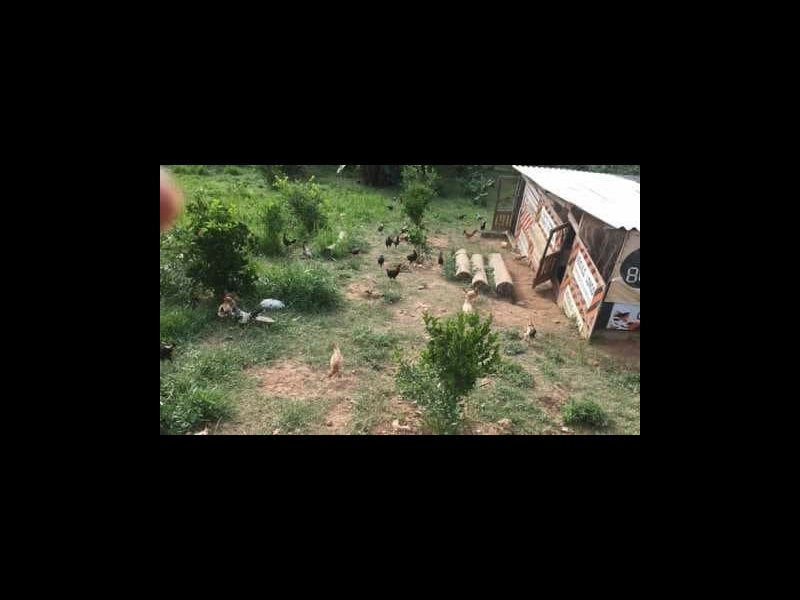 Sítio à venda Cachoeirinha com 33380m² e 4 quartos por R$ 550.000 - 1174764248-c25fa5e3-33d2-482e-8563-8ca5c2a7ad2a.jpeg