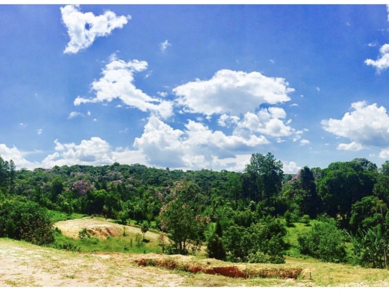 Sítio à venda Cachoeirinha com 33380m² e 4 quartos por R$ 550.000 - 2095750784-47106900-3641-41c2-82ab-2b82bc3ef2e5.jpeg