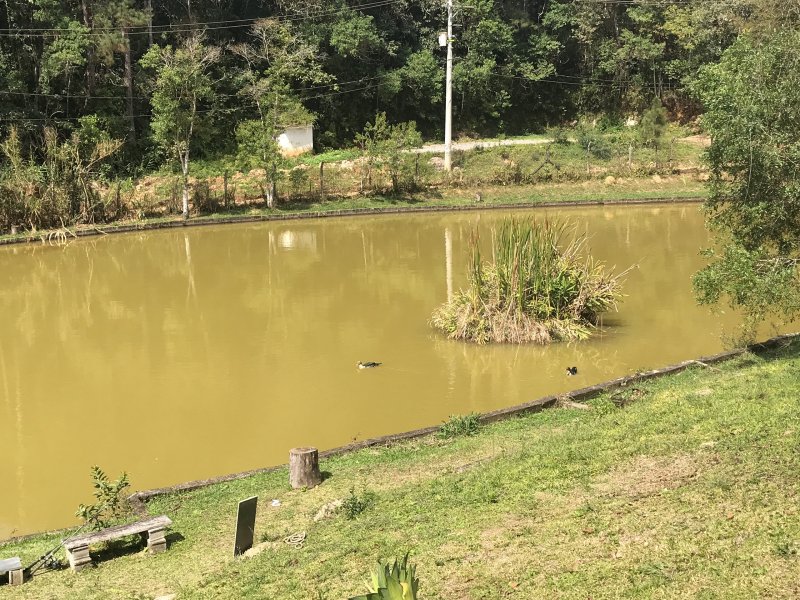 Sítio à venda Cachoeirinha com 33380m² e 4 quartos por R$ 550.000 - 251511366-47c554cb-cc5c-455d-9dca-b47aa626f574.jpeg