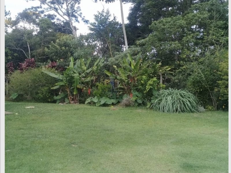 Sítio à venda Cachoeirinha com 33380m² e 4 quartos por R$ 550.000 - 31532612-b7a864e7-75b7-435e-94e4-648b92689323.jpeg